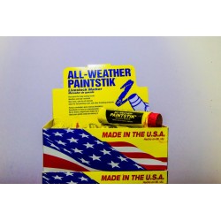 PINTURA ALL WHEATHER PAINTSTIK