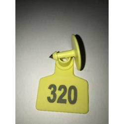 CARAVANAS DE IDENTIFICACIÓN...